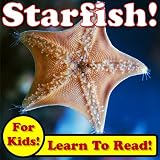 Starfish! Learn About Starfish While Learning To Read - Starfish Photos And Facts Make It Easy! (Over 45+ Photos of Starfish)