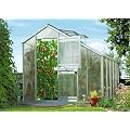 Beckmann Gew�chshaus Typ Allg�u Modell S80 256x319 cm
