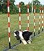Dog Agility Weave Poles with Adjustable Spacing (6 Poles)