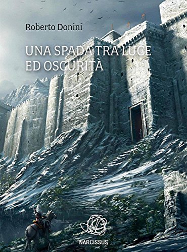 Una spada tra luce ed oscurità (Italian Edition)