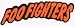 Foo Fighters - Orange and Black Logo - Large Jumbo Vinyl Sticker / Decal