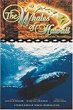 The Whales of Hawaii