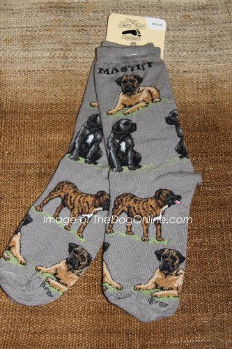 Mastiff Dog Poses Acrylic/Nylon Dog Socks - One Pair by FBF