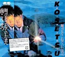 翔びそこねていた君へ