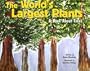 The World's Largest Plants: A Book About Trees (Growing Things (Picture Window Books))