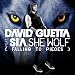 She Wolf (Falling to Pieces)