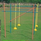 Indoor Coaching Hurdle Set