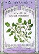 English Watercress Seeds 3000 Seeds
