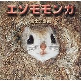 エゾモモンガ