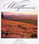 Wildflowers Of The Pacific Northwest