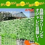 目隠しグリーンフェンス 16727