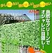 目隠しグリーンフェンス 16727