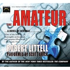 Amateur: A Novel of Revenge