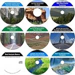 The Incomparable 9 CD Nothing Down, Motivated Seller, Real Estate Mentoring System book cover