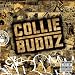 Collie Buddz  &amp;quot;She Gimme Love&amp;quot;   (Paradise Riddim)