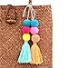 QTMY Big Pom Pom Tassel Long Bag Pendant Charm Keyring Keychain for Women Purse Handbag Decor