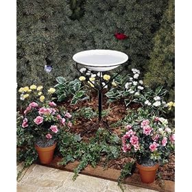 Allied Precision Bird Bath with Metal Stand by 