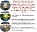 Massive Cash Flow Pack with Make An Extra Income, Success Principles and Sales Models for Fitness & Yoga Videos Web Businesses 3 CD Power Pack