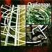 Orphanage-Inside