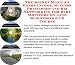 The Secret Make An Extra Income, Success Principles and Biz Networking for Baby Monitors On-line Businesses 3 CD Course