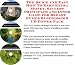 The Special Make An Extra Income, Marketing and Inner Game for Breast Pumps On-line Biz Package (3 CDs)