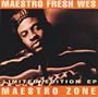 Maestro Zone
