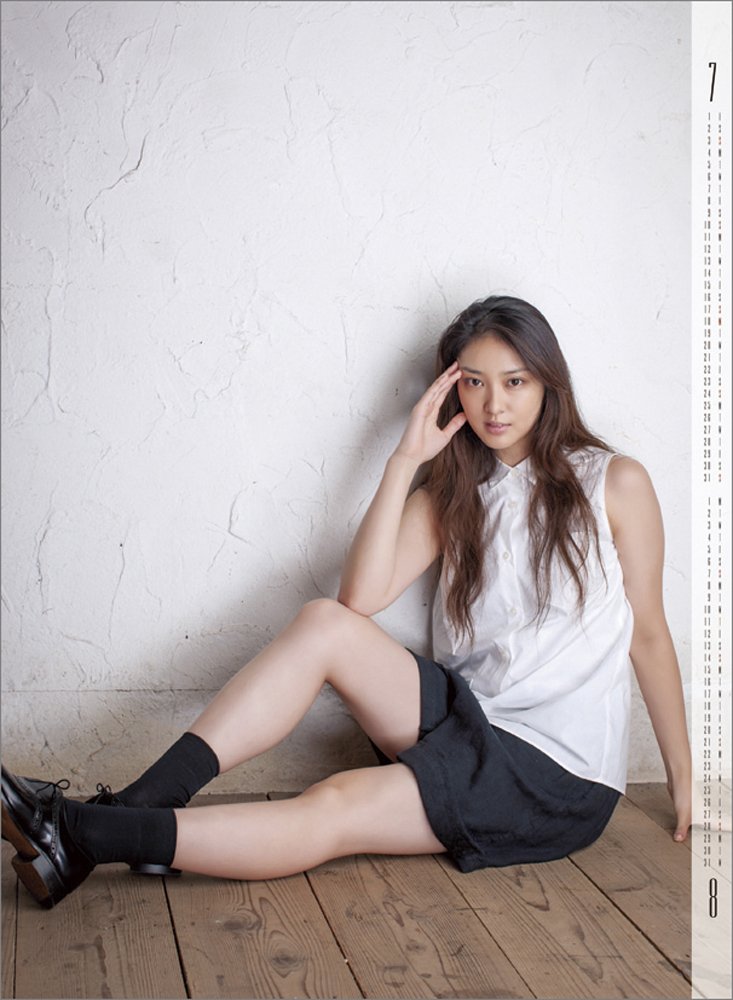 武井咲 2016年 カレンダー 壁掛け B2