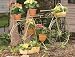 Panacea Products Whimsical Bicycle Plant Stand, Antique Willow Finish