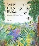 Why flies buzz : a Nigerian folk tale