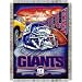 New York Giants Catch NFL Woven Tapestry Throw Blanket (48x60)