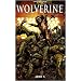 Wolverine : Arme X