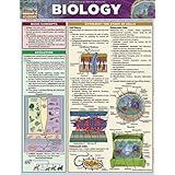 biology quick study academic