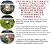 The Special Generate Extra Cash, Inner Game and Sales Models for Great Home Business Opportunities Businesses 3 CD Combo Pack