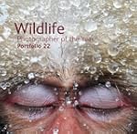 Wildlife Photographer of the Year Por...