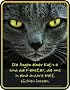 die Augen der Katze