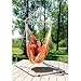 Amazonas AZ-2020120 Relax mango Hängematte, Belastbarkeit 120kg, Liegefläsche 150 x 120cm