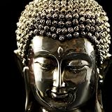 Produkt-Bild: Leinwanddruck silver Buddha 90 x 90