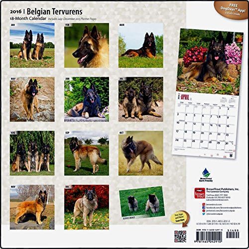 Belgian Tervurens 2016 Wall Calendar (12x12)