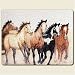 Steppin' Out Stepping OUT Horses Western Home Decor Horse 8" By 10" Small Tempered Glass Cutting Board