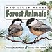 Who Lives Here? Forest Animals Image of Who Lives Here? Forest Animals