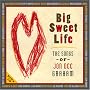 Big Sweet Life - The Songs of Jon Dee Graham (CD + DVD)