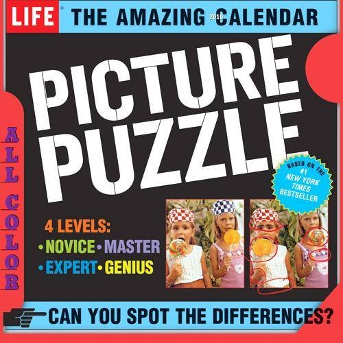 The Amazing Life Picture Puzzle Page-A-Day 2010 Daily Boxed Calendar