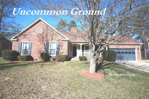 Uncommon Ground (Renovating Love Book 3)