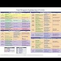 PMP Project Management Knowledge Areas & Processes (based on the PMBOK 4th Edition)