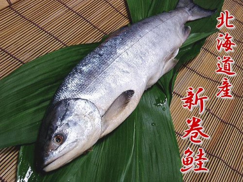特選 「新物 新巻鮭」 約２ｋｇ／北海道から産地直送