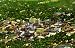 Aerial View of Bloomington, Illinois - Fine-Art Gicl??e Photographic Print - 8"x10" Enlargement from a Classic Vintage Postcard