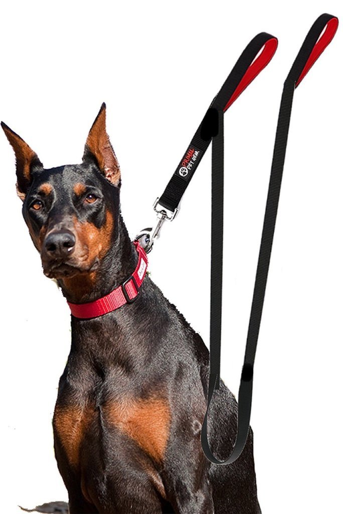 Amazon.com : Dog Leash 2 Handles - BLACK - Extra Long 8-ft Lead ... Amazon.com : Dog Leash 2 Handles - BLACK - Extra Long 8-ft Lead ...