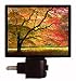 Japanese Maple Night Light - Fall Tree with Color - Autumn LED NIGHT LIGHT