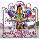 SAME AS IT NEVER WASby Herbaliser