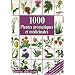 1000 Plantes Aromatiques et Medicinales